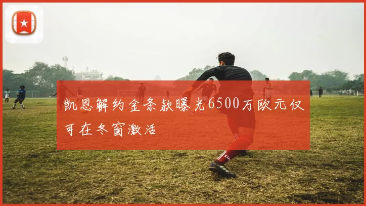 凯恩解约金条款曝光6500万欧元仅可在冬窗激活