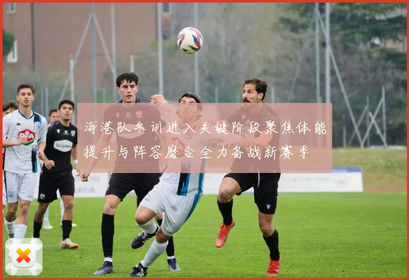 海港队冬训进入关键阶段聚焦体能提升与阵容磨合全力备战新赛季