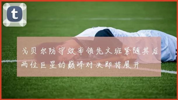 戈贝尔防守效率领先文班紧随其后两位巨星的巅峰对决即将展开