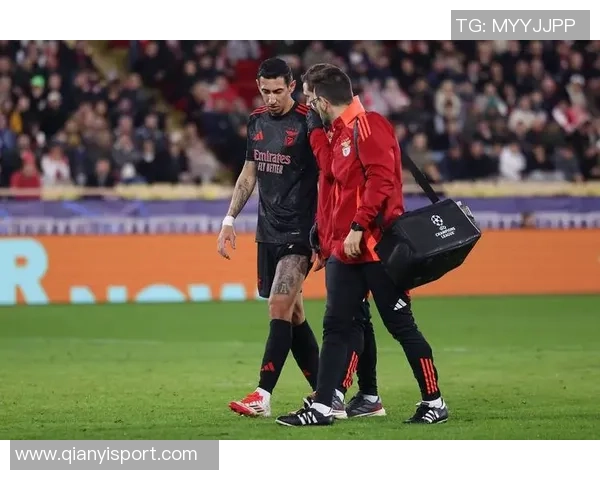 德媒报道本菲卡多名球员感染病毒但仍需满足人数要求才能推迟比赛 德媒报道本菲卡多名球员感染病毒但仍需满足人数要求才能推迟比赛