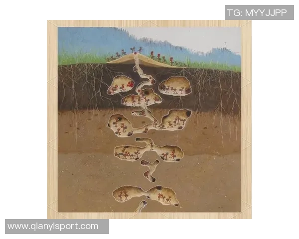 姚明谈自由与渺小的哲学蚂蚁的探索精神启示我们如何面对生活